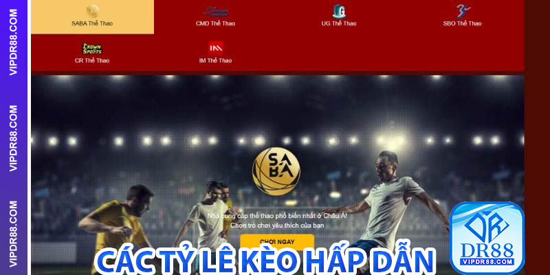 Các tỷ lệ kèo hấp dẫn khi cá cược Thể Thao DR88