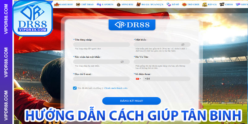 Hướng Dẫn Cách Giúp Tân Binh