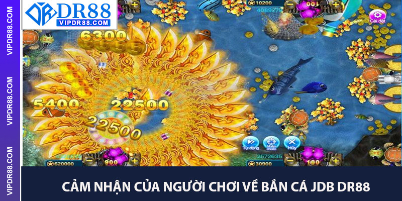 Cảm Nhận Của Người Chơi Về Bắn Cá JDB Dr88