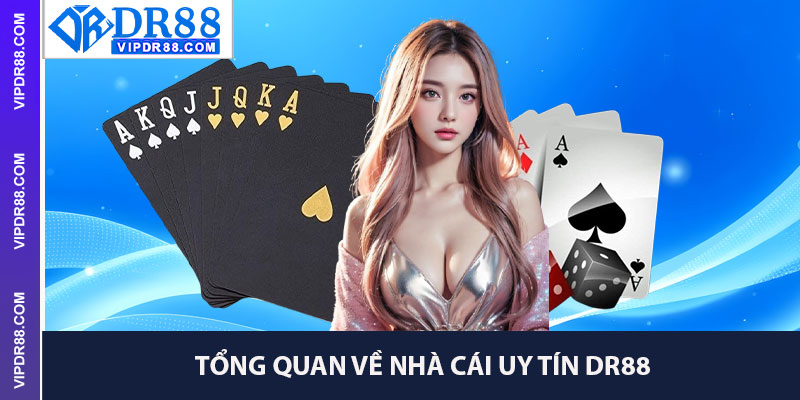 Tổng Quan Về Nhà Cái Uy Tín Dr88
